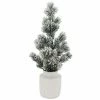 St. Nicholas Square® Flocked Artificial Pine Tree Floor Decor